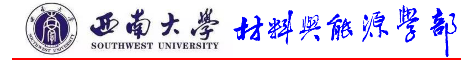 学术报告(辛仁龙-重庆大学).jpg